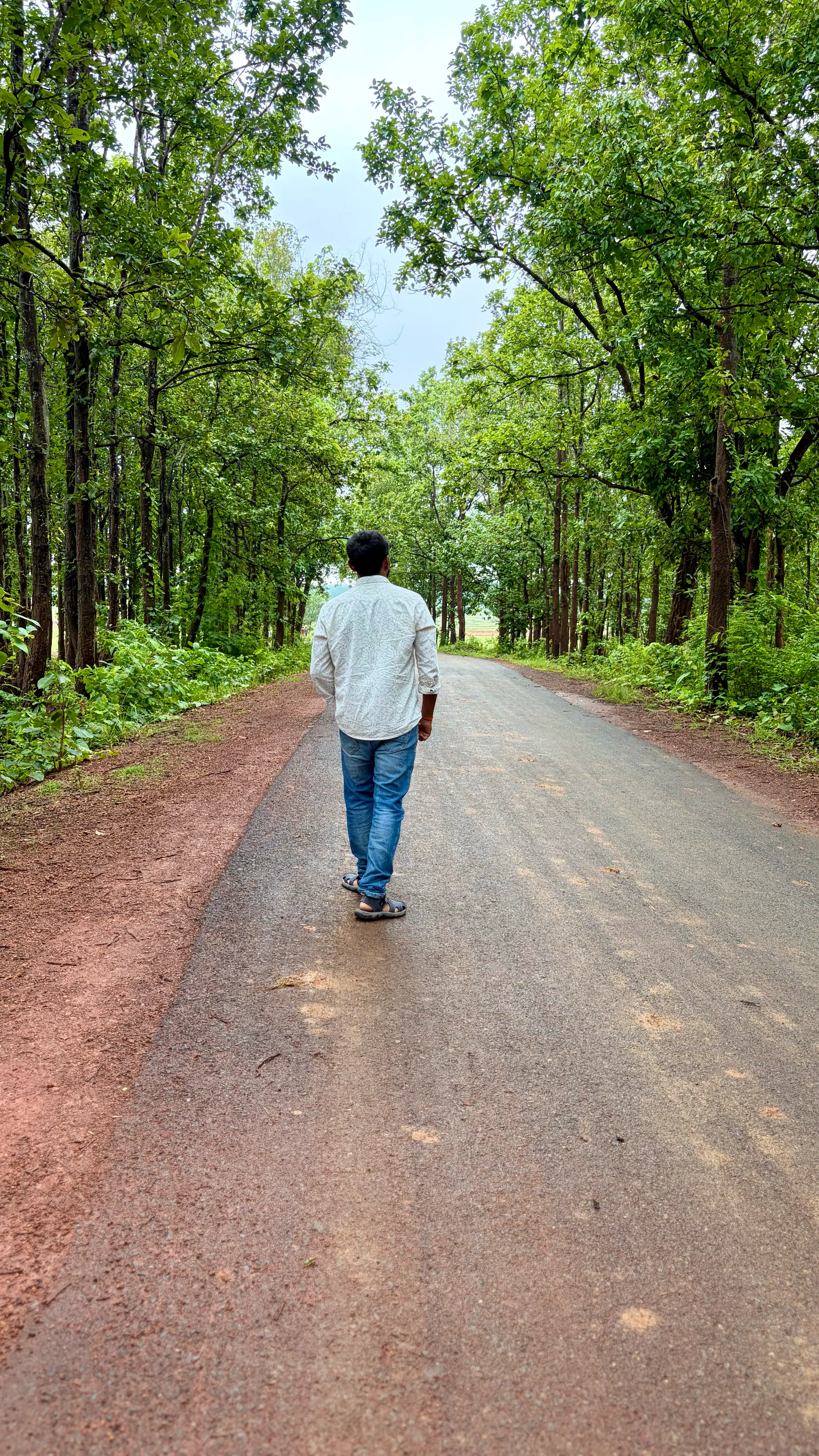Standing in the deep green forest